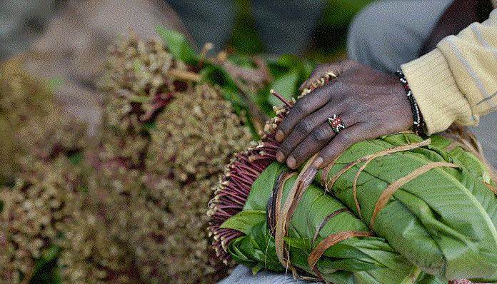 khat-ok_0