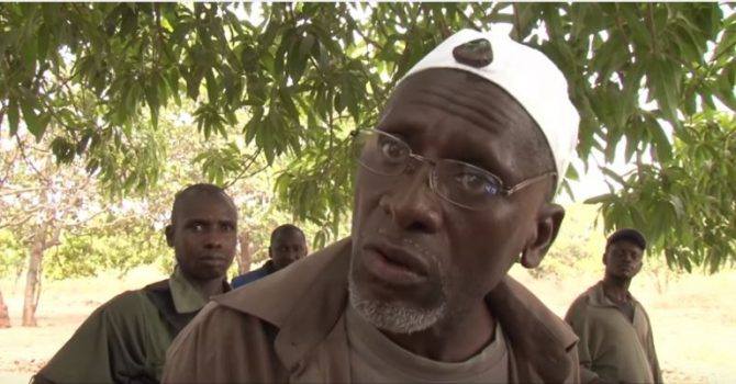 salifsadioo