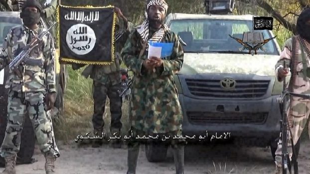 Boko Haram, de la secte islamiste au groupe armé