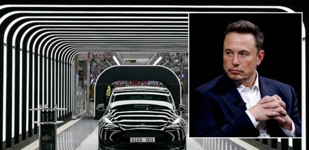 muskg